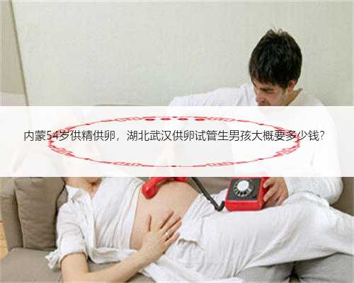 内蒙54岁供精供卵，湖北武汉供卵试管生男孩大概要多少钱？